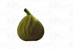 Watercolor Fig clip art pack,common fig leaves, fig fruit Product Image 29