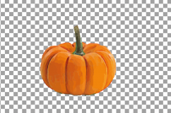 Watercolor pumpkin clip art pack, Pumpkin plant and flowers Product Image 24