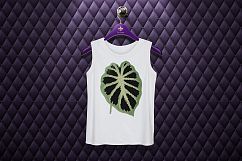 Leaves - Vintage Alocasia Jenningsii Product Image 2