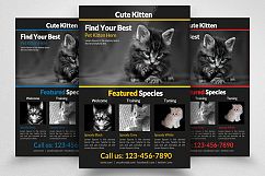 Pets Shop Flyer Template Product Image 1