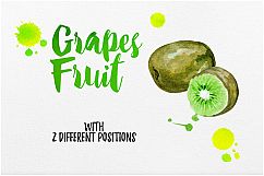Watercolor Fruits Vol. 4 Product Image 12