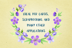 Wild flowers 2. Watercolor set. Product Image 3