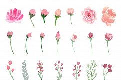 Loose Watercolor Roses &amp; Peonies Product Image 10