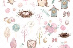 Forest Owls Clipart Product Image 2