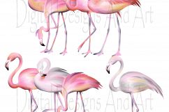 Pink flamingo clipart Product Image 2