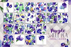 Purple sweet pea PNG watercolor flower set Product Image 3