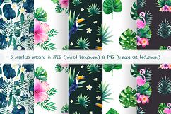 Tropical Watercolor Set Product Image 3