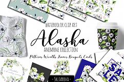 Alaska. Big Anemone Collection. Product Image 1