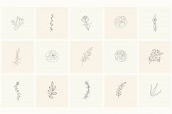 165 Hand Drawn Floral Elements, Frames. Product Image 9