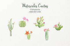 Watercolor clipart cactus for instant download  Product Image 3