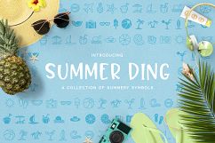 Summer Ding Product Image 1