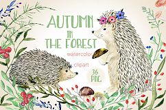 Autumn in the forest. Watercolor clipart. Product Image 1