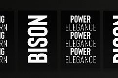Bison - A powerful font Product Image 3