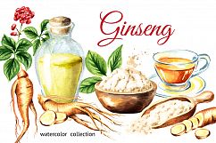 Ginseng. Watercolor collection Product Image 1