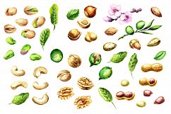 Nut mix. Watercolor Product Image 2