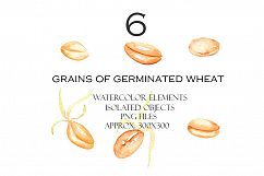Watercolor BREAD clipart Product Image 3