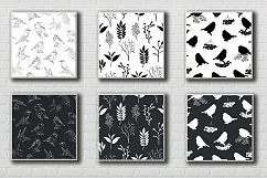 Sketch birds. Vector set. Product Image 5