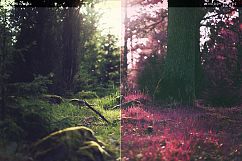 Cherry Fields Action Product Image 4
