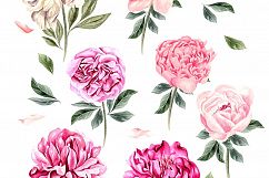 Hand Drawn Watercolor BUNDLE 5 Product Image 11