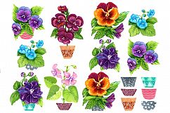 Violets Product Image 2