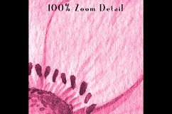 100 Watercolor Anemone Flower Clip Arts, Botanical Garden Product Image 3