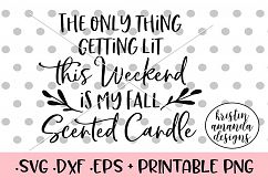 The Only Thing Getting Lit This Weekend is My Fall Scented C Product Image 1