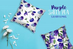 Purple sweet pea PNG watercolor flower set Product Image 4