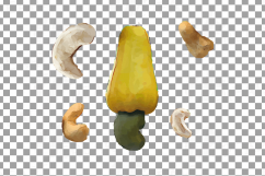 Nuts clip art pack, Watercolor nuts chart, food print Product Image 8