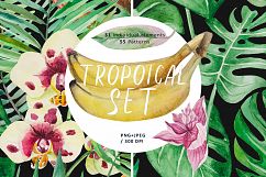 Tropical set Product Image 1