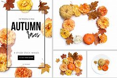 Autumn roses flat lay stock photos Product Image 1