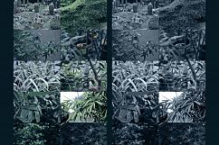 34 Nature background photo Product Image 4