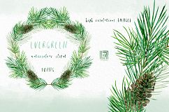 Evergreen. Watercolor clipart Product Image 1
