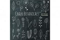 Chalkboard Flower Doodles Clipart Product Image 1