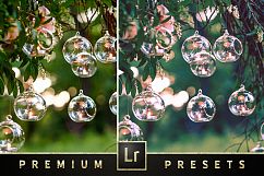 Premium Beautiful Wedding Presets Product Image 5