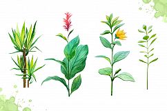 Watercolor tropical leaves set#2 Product Image 2