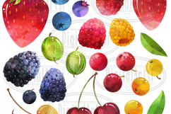 Watercolor Berries Clipart Product Image 2