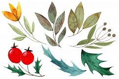 Watercolor Leaves and Flower Set Product Image 4