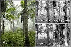 Infrared Monochrome Master Profiles LR7.3 ACR10.3 Product Image 20