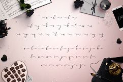Dolly Script Product Image 3