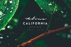 Minimal Premade Logo Bundle V03 Product Image 12