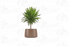 Leafy plants clip art collection, Watercolor plants in pot Product Image 3