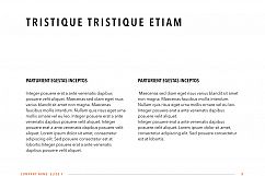 Sprint PowerPoint Template Product Image 4