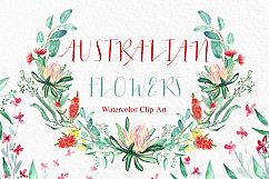 Australian flowers watercolor Product Image 4