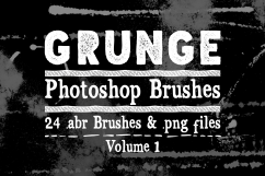Photoshop Brushes - Grunge Texture Brushes Vol 1 Product Image 1