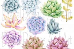 Watercolor succulent clipart Product Image 2