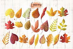 Autumn Vibes Product Image 2