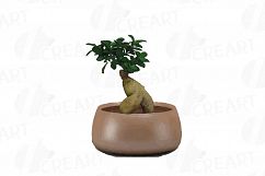 Leafy plants clip art collection, Watercolor plants in pot Product Image 4
