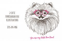 Pomeranian dogs print + bonus! Product Image 3