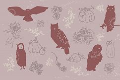 Autumn Owl Graphics Pack Product Image 2
