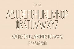 Merry Light Typeface Product Image 4